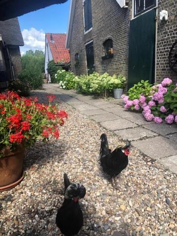 B&B De Beijersche Stee, Logies Aan De Waterkant Stolwijk Eksteriør bilde